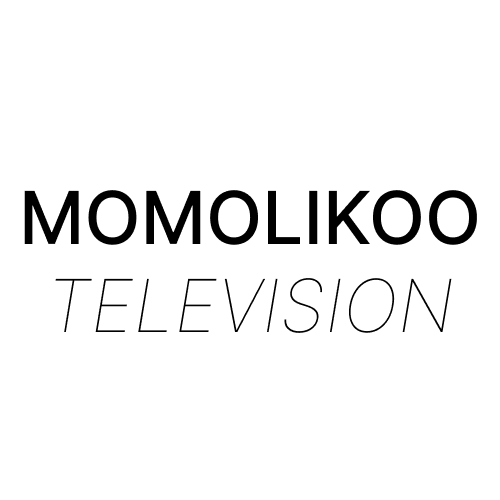 Momoliko tv (2)
